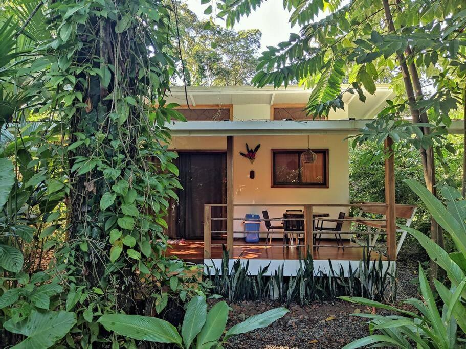 Little Yemanja Bungalow Puerto Viejo de Talamanca Exterior foto