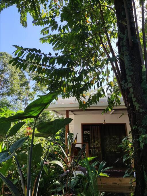 Little Yemanja Bungalow Puerto Viejo de Talamanca Exterior foto